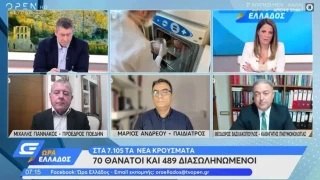 Βασιλακόπουλος: «Δημιουργήθηκαν κλίνες ΜΕΘ χωρίς προδιαγραφές!»