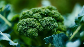 Το λαχανικό «φυσικό φάρμακο» για δυνατή άμυνα και όραση