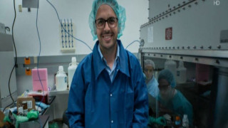 Έλληνας ερευνητής του Χάρβαρντ κατάφερε να «χωρέσει» τον εγκέφαλο σε ένα τσιπ