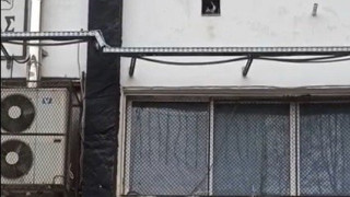 Ενα γατάκι σώθηκε με τη «συμβολή» του Metropolis στο κολυμβητήριο του ΠΑΟΚ