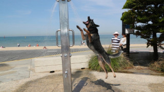 Αυστραλία: Στους 50,7 βαθμούς Κελσίου η θερμοκρασία