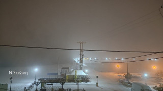 Χαλκιδική: Στα... λευκά η Σιθωνία -Επεκτείνεται ο χιονιάς στη χερσόνησο της Κασσάνδρας