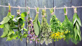 Τρία... αντικαταθλιπτικά βότανα που πρέπει να βάλετε στη ζωή σας