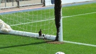 Μέλισσες καθυστέρησαν αγώνα