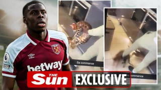 Σοκαριστικό βίντεο: Ο Ζουμά κλωτσά και χτυπά την γάτα του