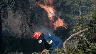 Προσλαμβάνονται 500 «δασοκομάντος» -Συστήνονται Ειδικές Μονάδες Δασικών Επιχειρήσεων