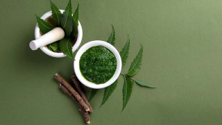 Κορωνοϊός: Θεραπεία από το δέντρο που καταπολεμά ιούς και ενισχύει το ανοσοποιητικό