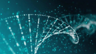 Αμερικανοί αποκωδικοποίησαν το πλήρες γονιδίωμα του ανθρώπινου σώματος