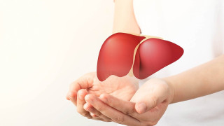 Ήπαρ: Ο μεγάλος εχθρός του είναι μικροσκοπικός