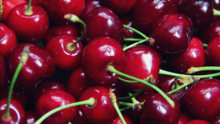 Αγροδιατροφή: Βασικός πυλώνας ανάπτυξης για την Κεντρική Μακεδονία