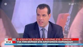 Πλεύρης: «Δεν χρειάζεται να πάρουμε νέα μέτρα - Μέχρι 15 Ιουλίου η κορύφωση του κύματος»