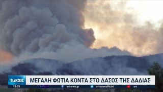 Ολονύχτια η μάχη με τις φλόγες στον Έβρο, ενεργοποιήθηκε το σχέδιο «Ξενοκράτης»