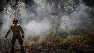 Αλεξανδρούπολη: Σε κατάσταση έκτακτης ανάγκης ο νομός - Η πρόγνωση για τους ανέμους