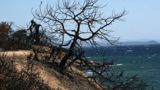 Τραγωδία στο Μάτι: Συγκλονιστικό αδημοσίευτο υλικό μετά από τέσσερα χρόνια