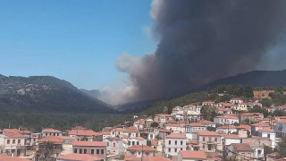 Λέσβος: Μεγάλη αναζωπύρωση της πυρκαγιάς - Εκκενώνεται ξανά η Βρίσα