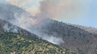 Αλβανία: Φωτιά κοντά σε χωριά της Βορείου Ηπείρου-Έσπευσαν 2 ελληνικά Canadair
