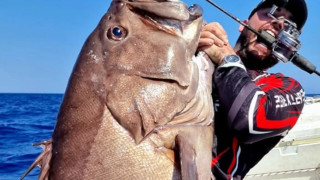 Χανιά: Ψαράς έπιασε βλαχοσφυρίδα πάνω από 40 κιλά!