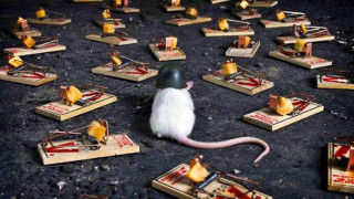 Χρειάζεται προσοχή (!) - Ναρκοπέδιο στη Βέροια!