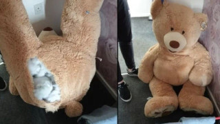 Βρετανία: Κλέφτης βρήκε «κρυψώνα» μέσα σε λούτρινο αρκούδο- Έτσι τον εντόπισαν