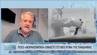 Κορωνοϊός: Υγειονομικά «δύσκολο χειμώνα» προβλέπει ο Καπραβέλος