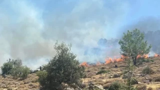 Φωτιά στο Αλιβέρι: Καλύτερη η εικόνα - Συνελήφθη 75χρονος