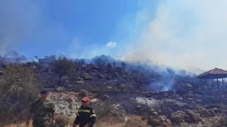 Φωτιά στη Λέσβο - Μάχη να μην πλησιάσει στο δάσος