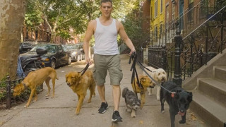 ΗΠΑ: Άνδρας κερδίζει 100.000 ευρώ βγάζοντας βόλτα σκύλους