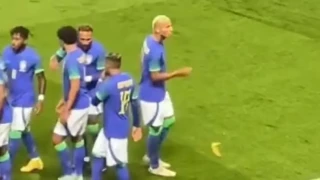 Ρατσιστική επίθεση στον Ριτσάρλισον της Τότεναμ: Του πέταξαν μπανάνα όταν πανηγύριζε γκολ