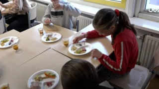 Σχολεία στην Ολλανδία σερβίρουν αλευροσκώληκες και έντομα σε παιδιά για να σώσουν τον πλανήτη