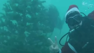 Αλόννησος: Δύτες βούτηξαν στο βυθό για να... στολίσουν χριστουγεννιάτικο δέντρο