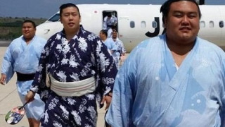 Ποιος είπε ότι δεν χωράνε σε ένα λεωφορείο 29 αθλητές του σούμο ;