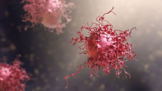 Σημαντική ανακάλυψη για τον Covid-19: «Κολλά» στον ιό και τον απομακρύνει