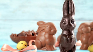 Αστυνομικοί εντόπισαν πασχαλινά λαγουδάκια «γεμισμένα» με έκσταση- «Θα καταστραφούν»