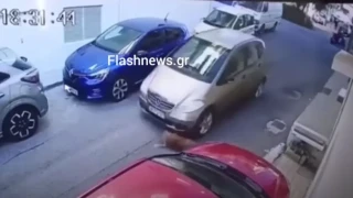 Πάσχα στο κρατητήριο για τη γυναίκα που χτύπησε τον σκύλο με το αυτοκίνητο