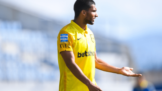 Οι επαφές με στόπερ και η υπόθεση του Ροζ