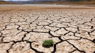 Κλιματική Αλλαγή: Η άνοδος της θερμοκρασίας στην Ευρώπη ξεπέρασε τον στόχο του Παρισιού