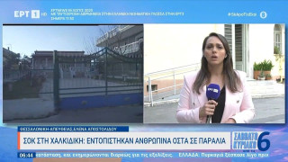 Χαλκιδική: Εντοπίστηκαν ανθρώπινα οστά σε παραλία (vid)