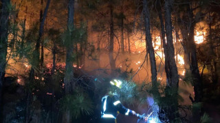 Ένωση αιολικής ενέργειας: Θεωρίες συνωμοσίας η σύνδεση ανεμογεννητριών με τις πυρκαγιές