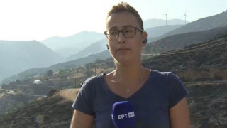 Φωτιά στην Κάρυστο: Λύγισε η ρεπόρτερ που κάλυψε την συντριβή του καναντέρ