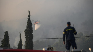 Αλεξανδρούπολη: Οι καμένες εκτάσεις από δορυφορική εικόνα του «Copernicus»