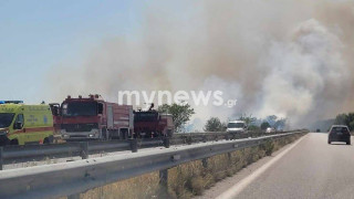 Θεσσαλονίκη: Οριοθετήθηκε η φωτιά στον Προφήτη