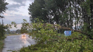 Χαλκιδική: Πώς το μπουρίνι «σήκωσε» beach bar