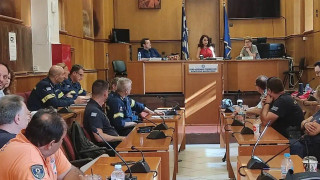 Θεσσαλονίκη: Ακραίος κίνδυνος πυρκαγιάς την Τετάρτη - Πατουλίδου: «Θα είναι δύσκολη μέρα»