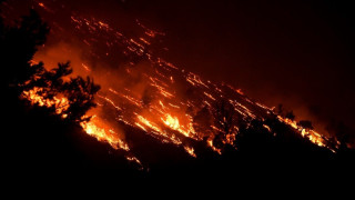 «Η δασική υπηρεσία στο δάσος της Δαδιάς ήταν διακοσμητική, δεν είχε άποψη- Άλλοι κάνανε κουμάντο»