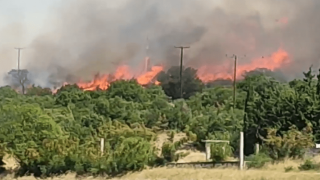 Μαίνεται η φωτιά στην Αλεξανδρούπολη -Τρία τα ενεργά μέτωπα