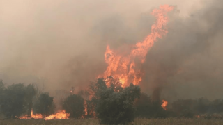Φωτιά στην Αλεξανδρούπολη: Σοκάρουν οι εικόνες από αμερικανικό δορυφόρο