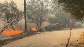 Συνελήφθη αλλοδαπός για τη φωτιά στο Λιτόχωρο-Του επιβλήθηκε πρόστιμο