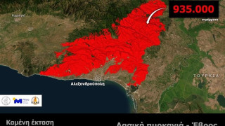 Νέα πλάνα από drone αποκαλύπτουν την ανυπολόγιστη οικολογική καταστροφή στον Έβρο