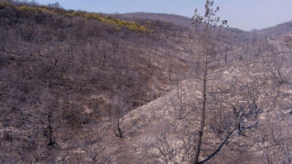 Χιονάς για τις φωτιές στον Έβρο: «Γλιτώσαμε από θαύμα, είναι πλέον κρανίου τόπος»