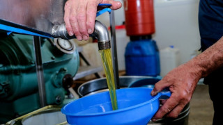 Βουλγαρία: Νοθευμένο ελαιόλαδο πωλείται ως ελληνικό – Παγίδα οι δελεαστικές τιμές